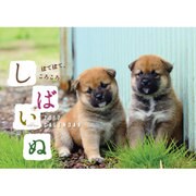 しばいぬCALENDAR 2017 [カレンダー]