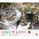 KISS&LOVE猫CALENDAR 2017 [カレンダー]