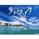 ハワイカレンダー 2017 [単行本]