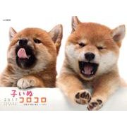 子いぬコロコロカレンダー 2017 [単行本]