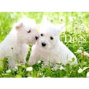 Dogsカレンダー 2017 [単行本]