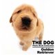 Golden Retriever(THE DOG Photo Book Collection) [単行本]