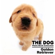 Golden Retriever(THE DOG Photo Book Collection) [単行本]