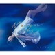 May'n／光ある場所へ (TVアニメーション「終末のイゼッタ」エンディングテーマ)