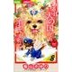 ある日 犬の国から手紙が来て<８>(ちゃおコミックス) [コミック]