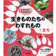 クイズでさがそう!生きものたちのわすれもの〈1〉まち [全集叢書]