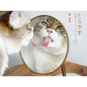 とらです―沖縄のカフェでくらす、とらの休日 [単行本]
