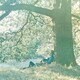 ヨーコ・オノ／ヨーコの心/プラスティック・オノ・バンド