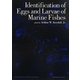Identification of Eggs and Larvae of Marine Fishes [単行本]
