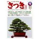 さつき研究 2016年 11月号 [雑誌]