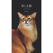 美しき猫カレンダー 2017 [単行本]