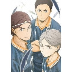 ハイキュー!! 烏野高校 VS 白鳥沢学園高校 Vol.3 [DVD]