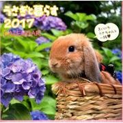 うさぎと暮らすCALENDER 2017 [単行本]