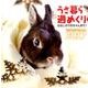 うさ暮ら週めくり 2017 [単行本]
