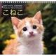 こねこカレンダー 2017 [カレンダー]