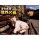 世界の猫カレンダー 2017 [カレンダー]