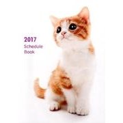 Schedule Book CAT 2017 [単行本]