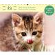 こねこミニカレンダー 2017 [カレンダー]