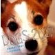 犬カレンダー 2017 [カレンダー]
