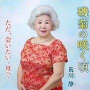 磯菊の咲く頃