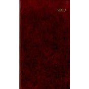 161 ビジネスプランミニ(茶) 2017 [単行本]
