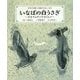 いなばの白うさぎ―オオナムヂとヤガミヒメ(日本の神話古事記えほん〈4〉) [絵本]