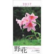 野の花ミニカレンダー 2017 [単行本]