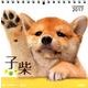 子柴カレンダー 2017 [単行本]