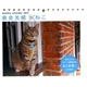 岩合光昭×ねこカレンダー 2017 [単行本]
