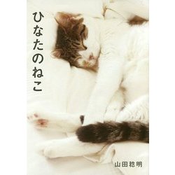 ひなたのねこ [絵本]