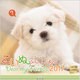 こいぬといっしょカレンダー 2017 [単行本]