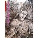 水墨画・幻想を描く(水墨画の達人シリーズ〈66〉) [単行本]