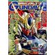 GUNDAM A (ガンダムエース) 2016年 12月号 No.172 [雑誌]