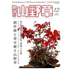 趣味の山野草 2016年 12月号 [雑誌]