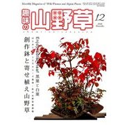 趣味の山野草 2016年 12月号 [雑誌]