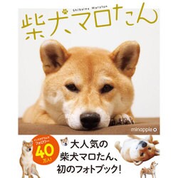 柴犬マロたん [単行本]