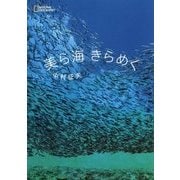 美(ちゅ)ら海きらめく [単行本]