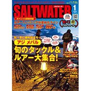 SALT WATER (ソルトウォーター) 2017年 01月号 [雑誌]