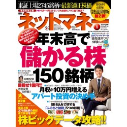 NET M@NEY (ネットマネー) 2017年 01月号 No.143 [雑誌]