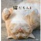 気ままに猫だもん。 [単行本]