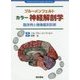 ブルーメンフェルト カラー神経解剖学―臨床例と画像鑑別診断 [単行本]
