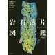 岩石薄片図鑑―精細写真で読み解く鉱物組成と生い立ち [単行本]