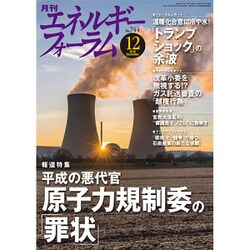 エネルギーフォーラム 2016年 12月号 [雑誌]