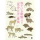 似ている動物「見分け方」事典 [単行本]