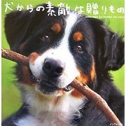 犬からの素敵な贈りもの [単行本]