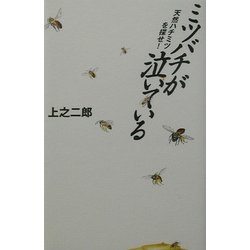 ミツバチが泣いている―天然ハチミツを探せ! [単行本]