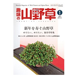 趣味の山野草 2017年 01月号 [雑誌]