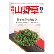 趣味の山野草 2017年 01月号 [雑誌]