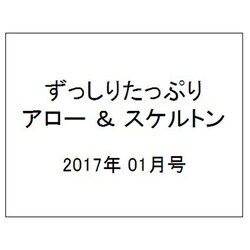 ずっしりたっぷりアロー & スケルトン 2017年 01月号 [雑誌]