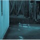 Maison book girl／image